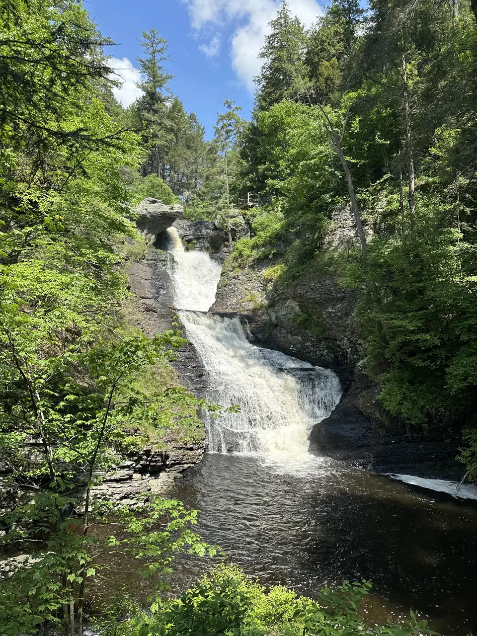 Raymondskill Falls cascading through a green gorge