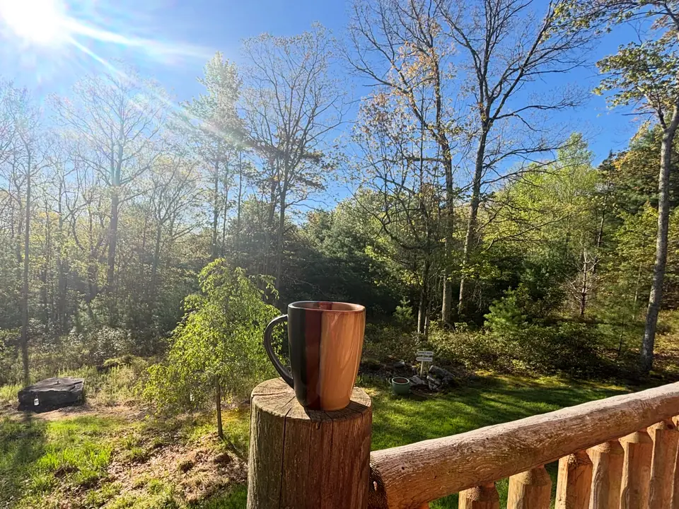 Coffee mug on the log deck railing with morning sun through the woods